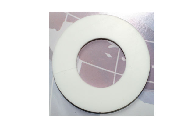 PTFE Gasket
